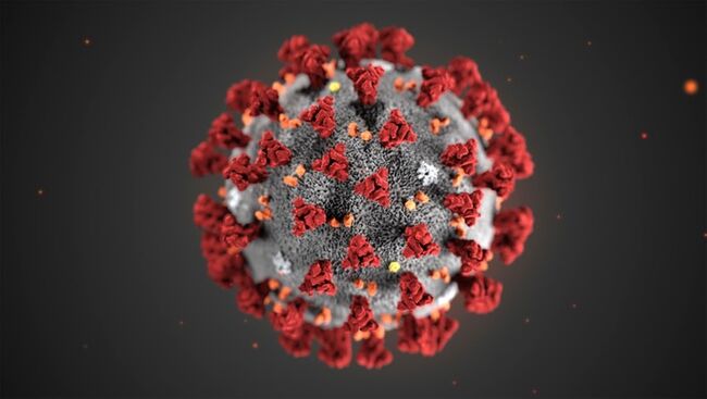 Coronavirus