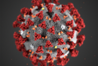 koronavirus