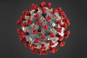 Coronavirus Coronavirus