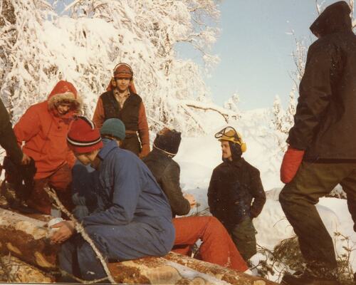 Dugnad i skogen på Eikås 1984 foto 2