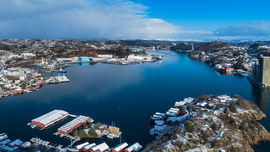 Næring i havna