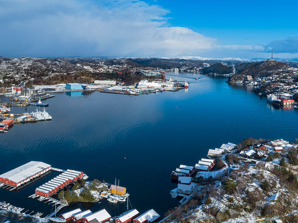 Næring i havna