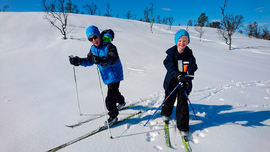 ski