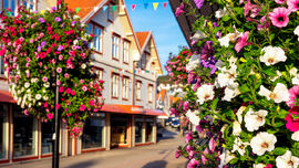 Blomster i sentrum