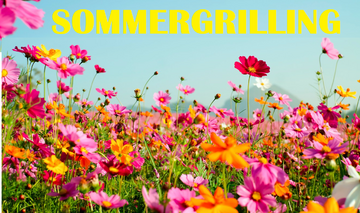 sommergrilling