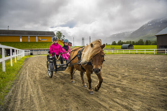 BARDU_SUMMER_NLE_350