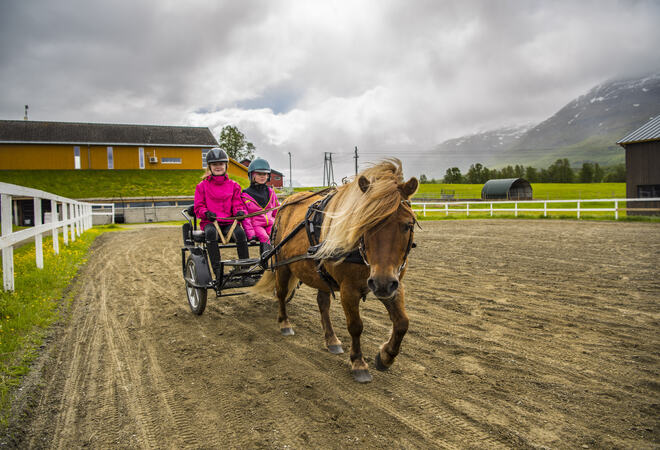 BARDU_SUMMER_NLE_350