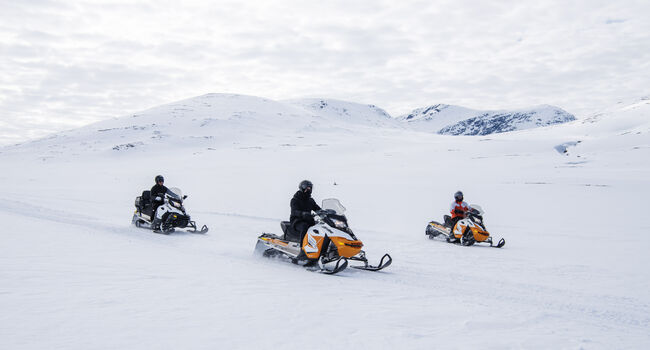 BARDU_WINTER_NLE_474