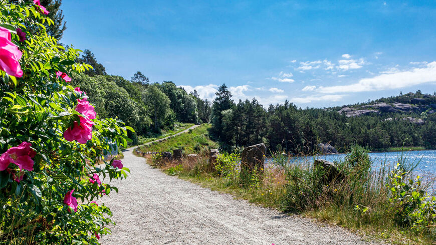 Hellviksveien