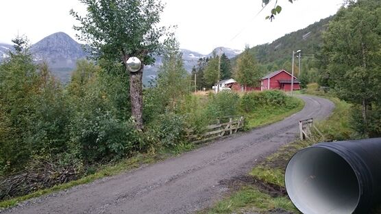 Vei til Mørsvikneset, foto Geir Anders Berg