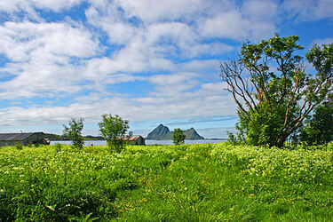 Gaukværøy_sommer Gaukværøy_sommer