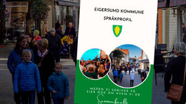 Språkprofil