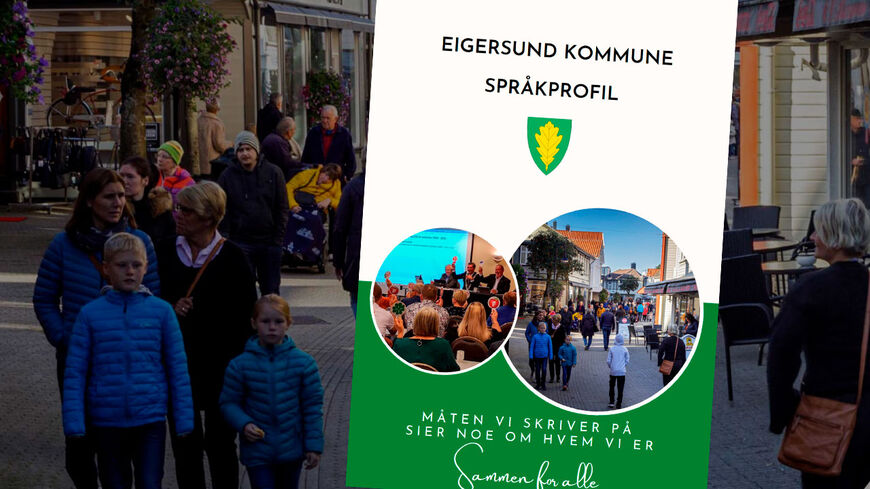 Språkprofil