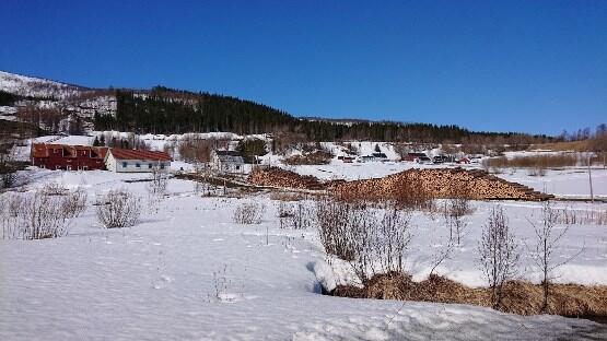 Tømmerdrift i Ånsvik, foto Gerd Bente Jakobsen