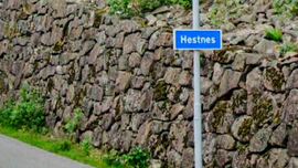 Hestnes