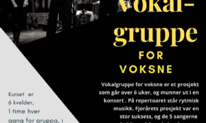 Vokalgruppe for voksne