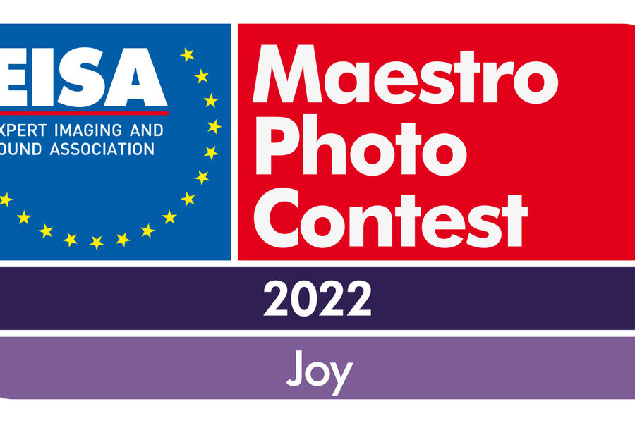 EISA-Maestro-2022-Logo-outline