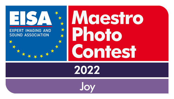 EISA-Maestro-2022-Logo-outline.png