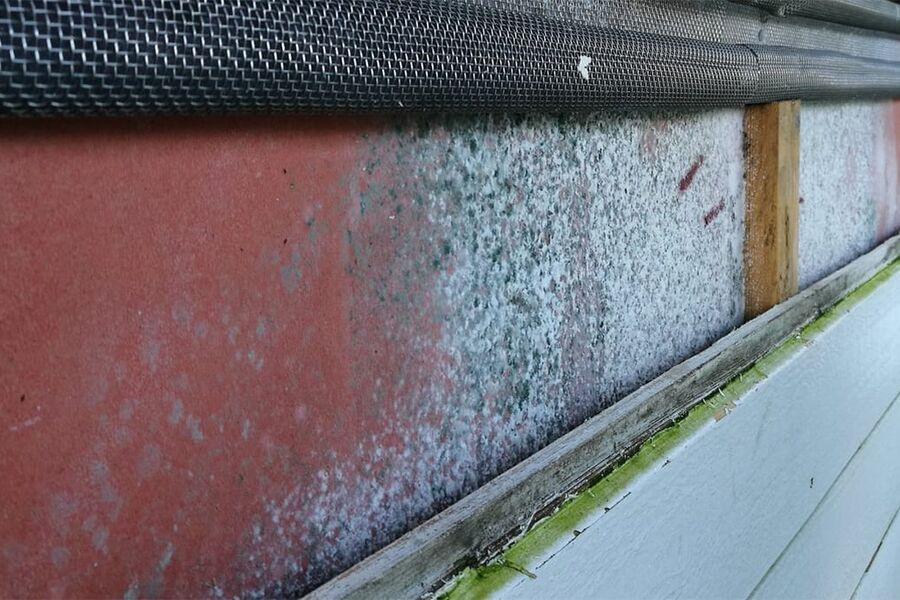 Hvorfor oppstår det så kraftig muggvekst på vindsperra bak denne ytterkledningen? Svaret får du på Nasjonalt fuktseminar. Foto: SINTEF