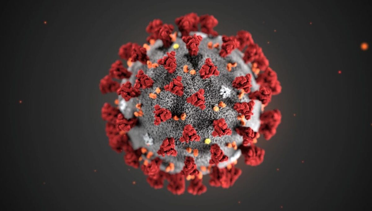an-illustration-created-at-the-centers-for-disease-control-and-prevention-cdc-depicts-the-2019-novel-coronavirus