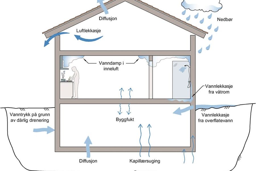 Illustrasjonen viser vanlige fuktkilder og fukttransportformer. Ill.: SINTEF Byggforsk