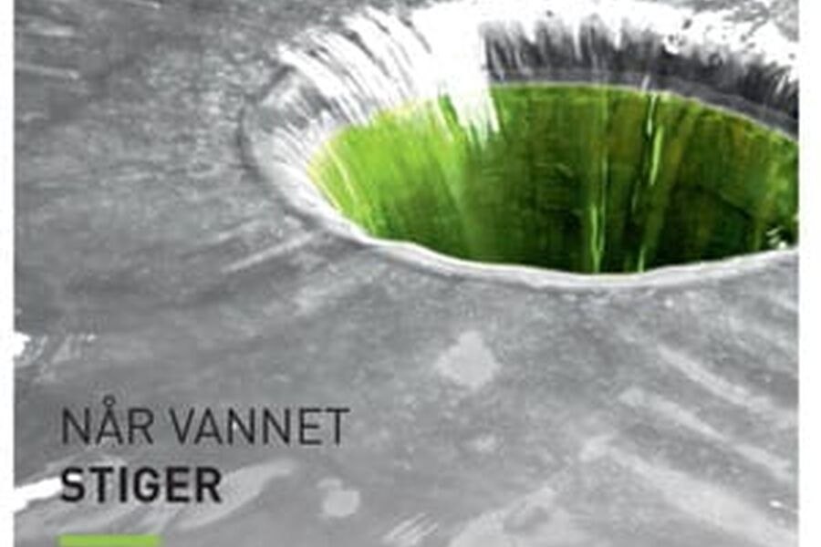 Heidenreich fikk tredjeplass for deres annonsekampanje Når vannet stiger  Kåringen utføres av Kommunal rapport og heter Det offentlige gullegget .