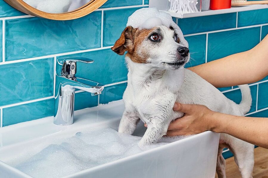 Oras Safira-familien er gjenfødt og byr på nye spennende muligheter samtidig som kvaliteten er ivaretatt.