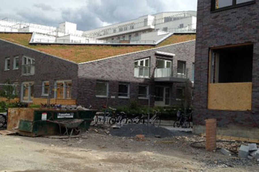 Nybebyggelsen på Sørenga i Oslo er kledd med grønne tak. Foto: Kjersti D. Moxness/Miljødirektoratet.