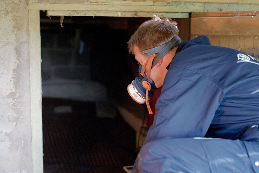 Særlig regnes krypkjellere som en risikokonstruksjon. Anticimex på inspeksjon i krypkjeller. (Foto: Anticimex) 