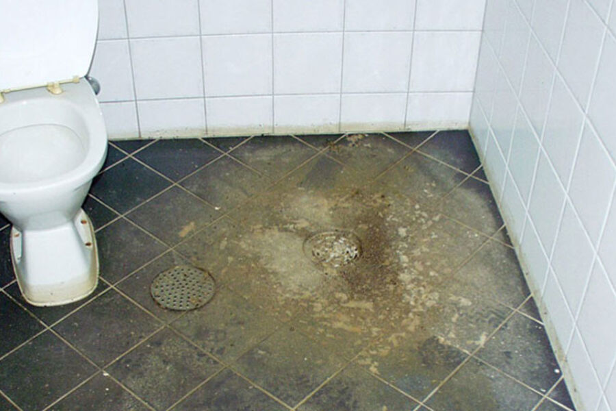 GUFNE GREIER: Dersom rørnettet overbelastes kan kloakk og avløpsvann strømme inn i kjelleren din. (Foto: Mycoteam