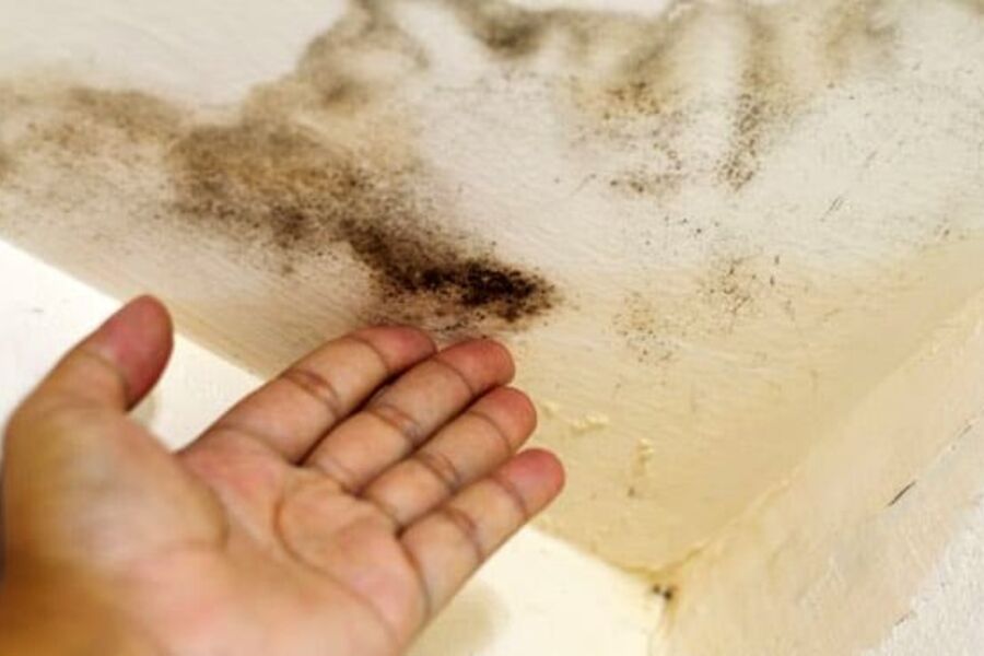 Fukt kan forårsake store ødeleggelser (Foto: Colourbox)
