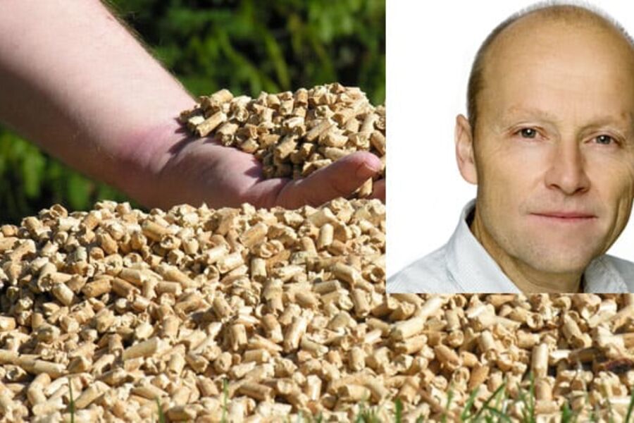 - Enova har lagt til grunn at bioenergi frå skog er klimanøytralt. Mine analyser viser at denne typen pelletsprosjekt øker tilførselen av Co2 til atmosfæren og ikke det motsatte, seier Holtsmark til Vvsforum.