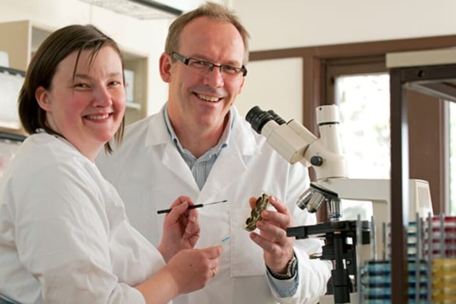 Eirik Ask, Senior rådgiver/avdelingsleder og Gro Sjøberg i Unilabs Telelab, Miljømikrobiologi i Skien er sterkt uenig med IRIS,Stavanger i at sjokkoppvarming ikke tar knekken på legionellabakterier.