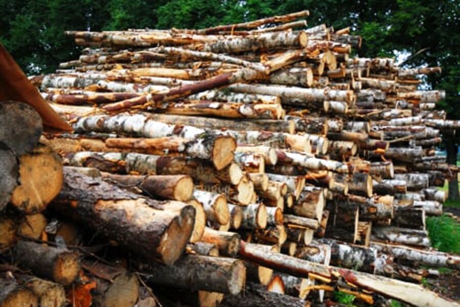 Ny rapport om hva ved kan bli til vann og varme, med andre ord: Bioenergi. Foto: Per Henriksen