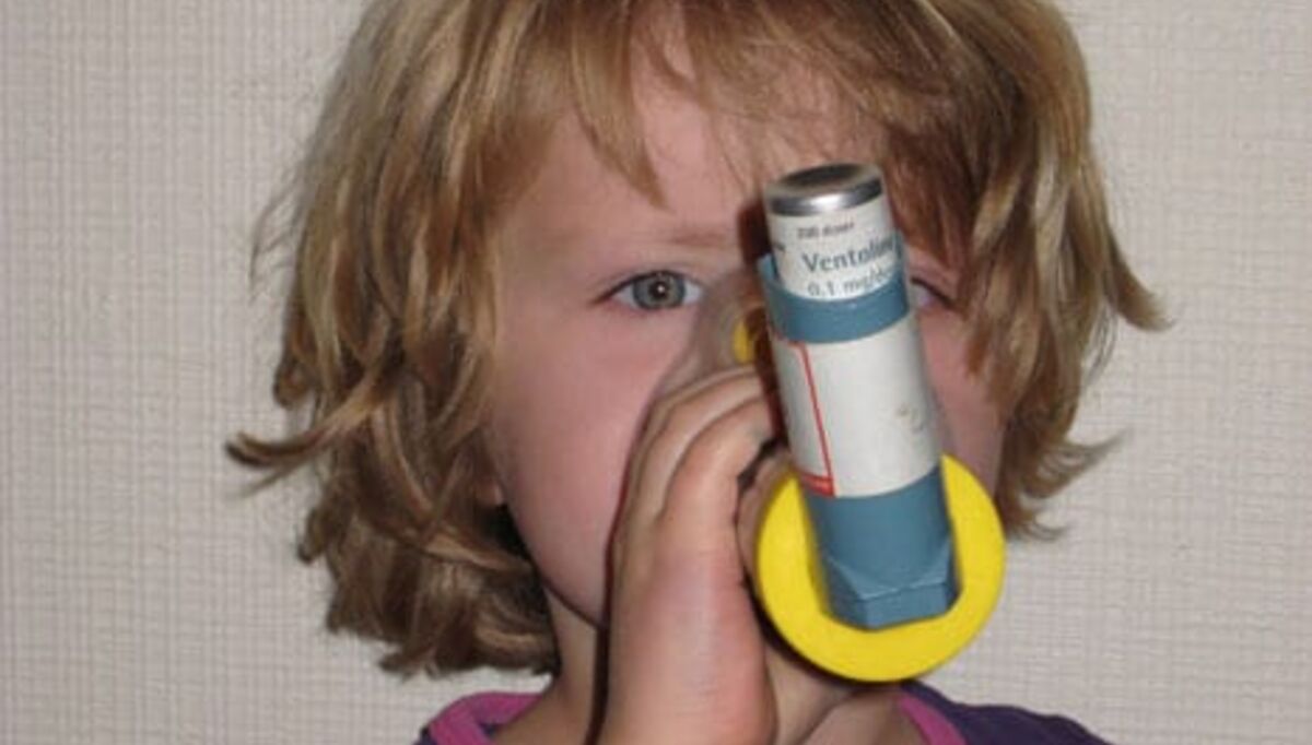 ingen-sammenheng-mellom-muggsopp-og-utvikling-av-astma-og-allergi-2