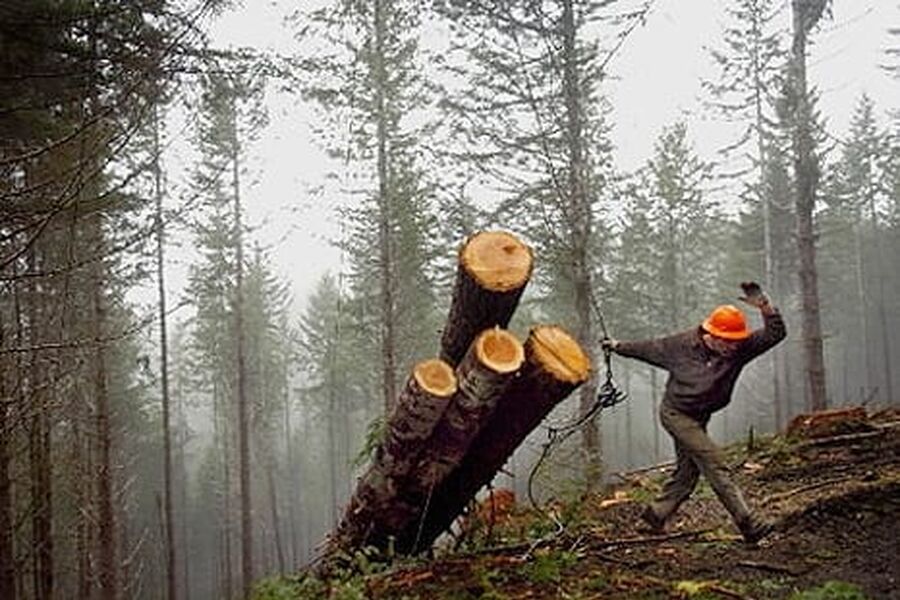 Bruk av hogstavfall til energiformål sammenlignet med å la hogstavfallet ligge igjen i skogen, vil normalt føre til en netto økning i utslippene det første året.