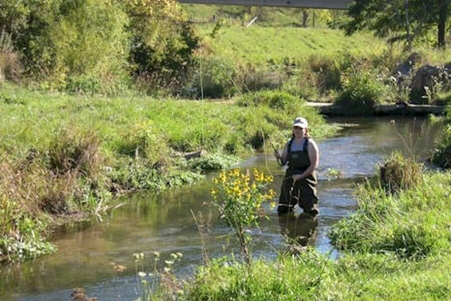 Når vanningssystem og drenssystem i veksthus ikke er gode nok, kan utslippene påvirke vannkvalitet, fisk og andre organismer i nærliggende vassdrag. Illustrasjonsfoto.