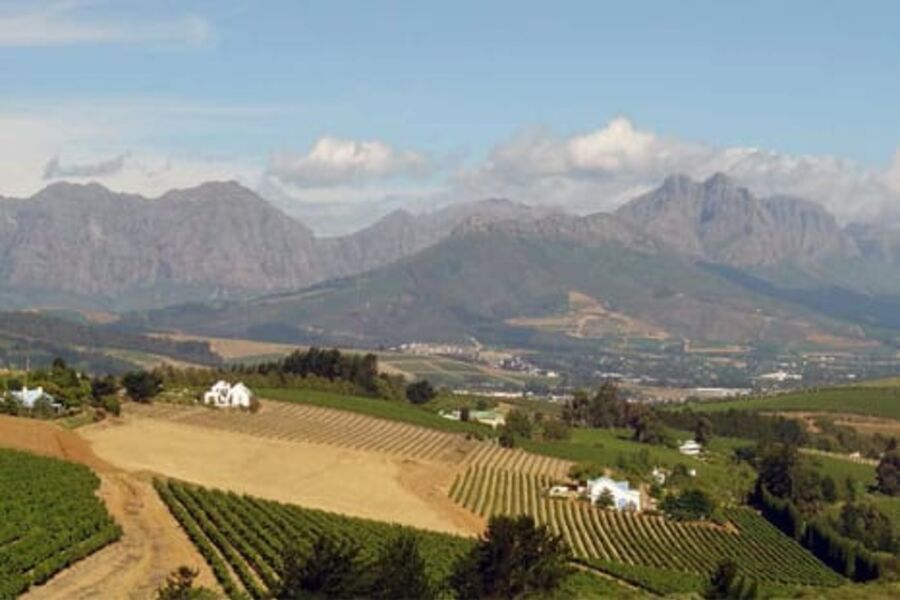 Vinlandet Sør-Afrika, og særlig rundt Stellebosch er det vakkert. Området er viden kjent for sine nydelige viner. Foto: Dreamstime