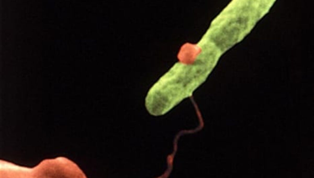 ingen-felles-legionella-smittekilde-funnet-i-oslo-2