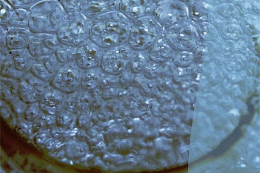 Nordisk drikkevannskonferanse er arrangert annethvert år siden 1998. Vertskapet for konferansen går på skift mellom de nordiske landene og i 2010 er Danmark arrangør.