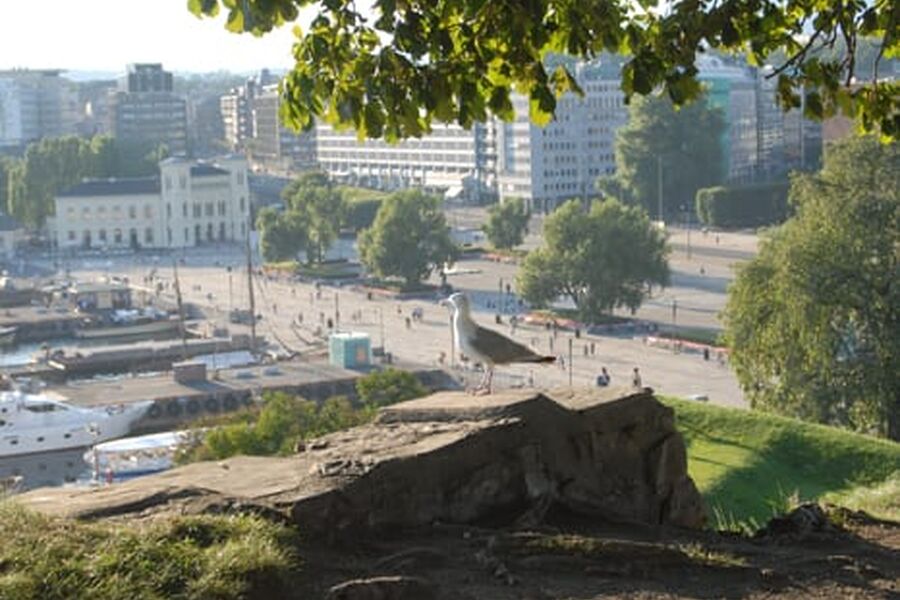 Leiepriser på næringslokaler i Oslo faller kraftig.