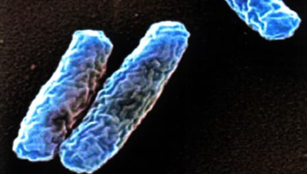 rapporten-om-legionellautbruddet-lagt-fram-2