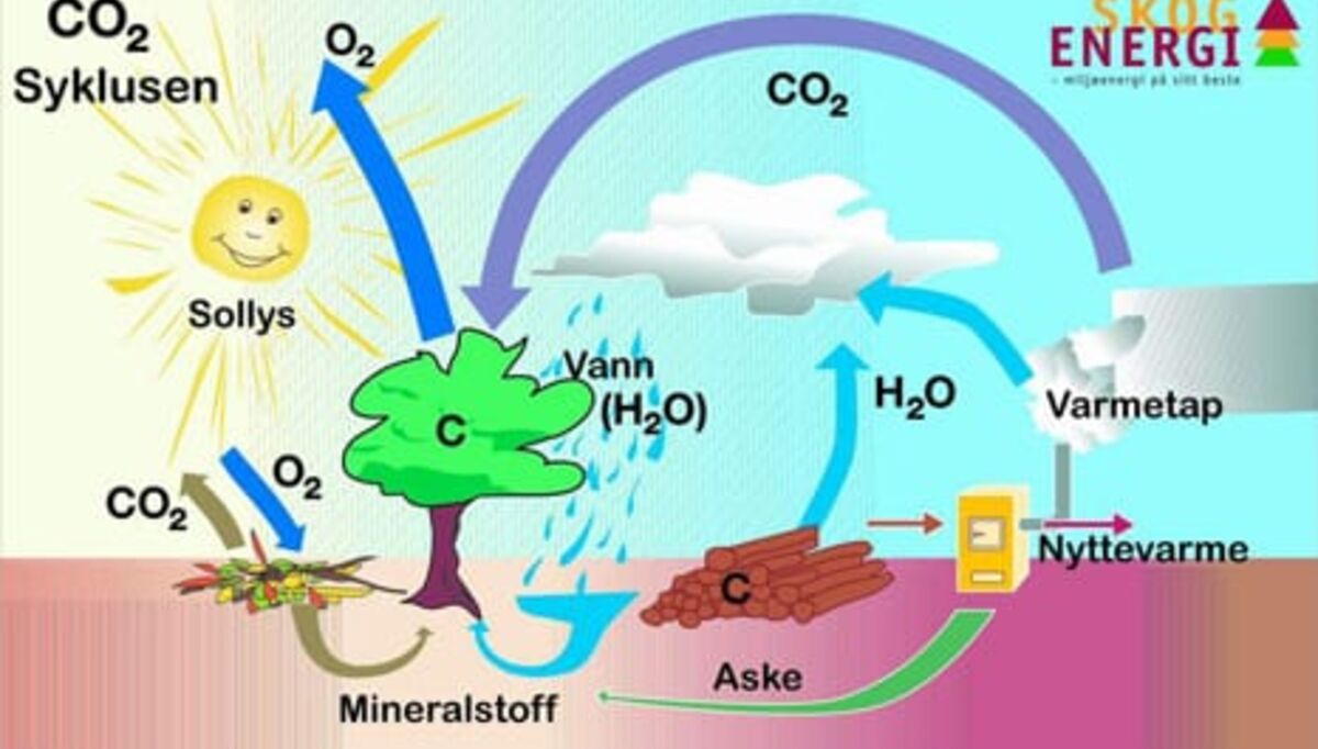 bioenergi-kan-bidra-til-store-reduksjoner-i-co2-utslippene-2
