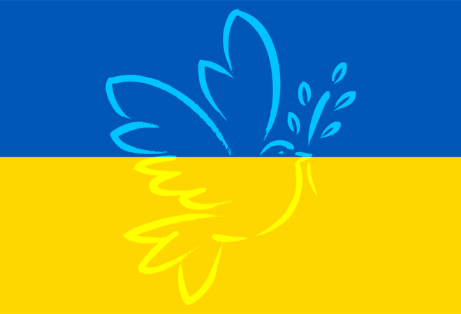 Ukraina situsjonen
