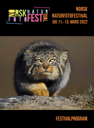 Festivalprogram_NNFF_2022-400px.jpg