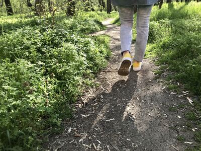 Vår - Envato, fri bruk