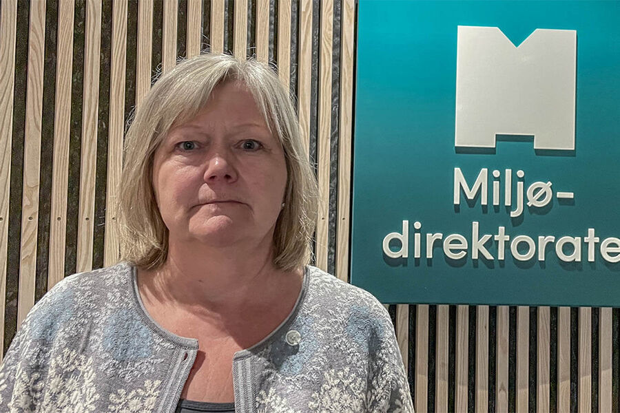 Nå er det alvor, fastslår Alice Gaustad i Miljødirektoratet: 1. juli er fristen for å fornye f-gass-sertifikater som er fem år eller eldre. 