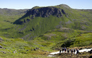 Bølemarsj 2007 - på tur i storslagen natur