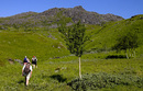 Bølemarsj 2007 - fra en av de tyngste etappene