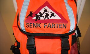 Skolesekk til 1. klassinger